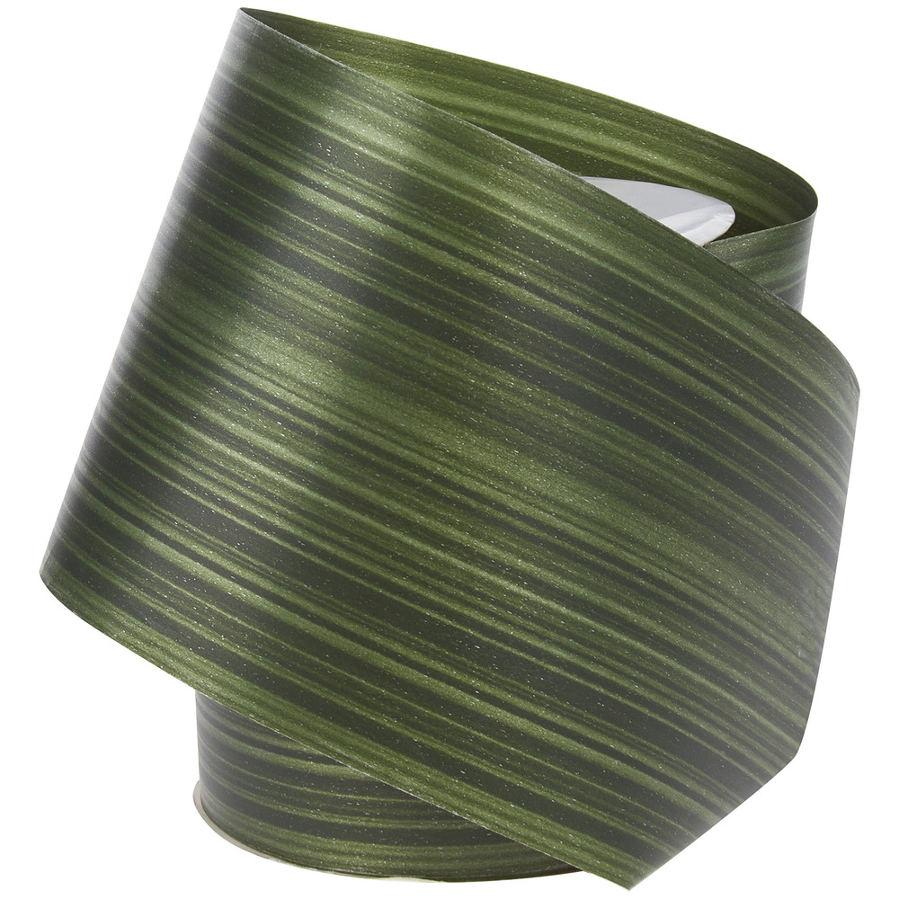 Лента полипропилен "Аспидистра", 100 ммx50 м Зеленый