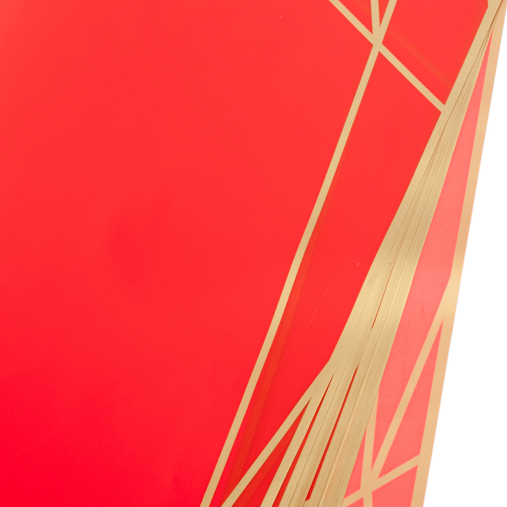 Пленка матовая "Geometry", 58х58 см, набор (20 шт) Красный