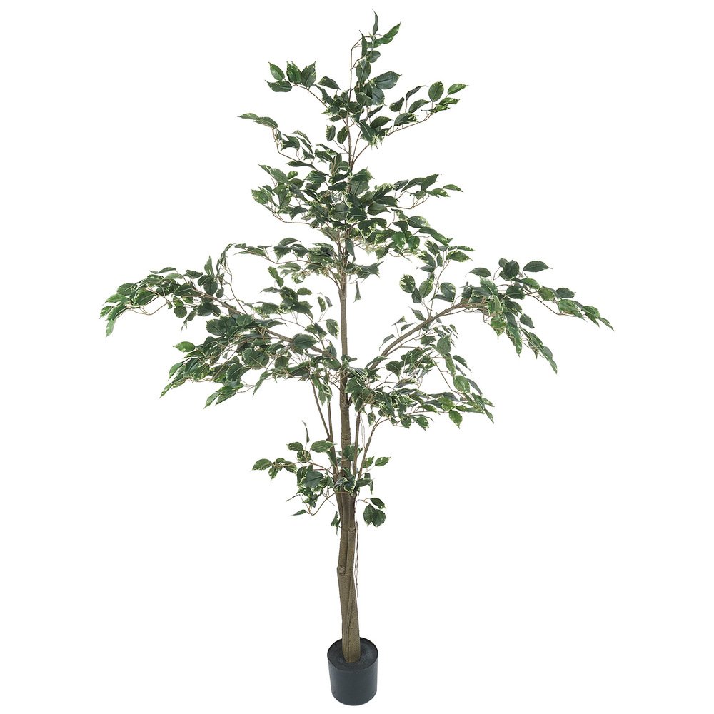 Дерево искусственное в кашпо "Фикус Бенджамина пестрый", Н180 см, 705 листьев Зеленый