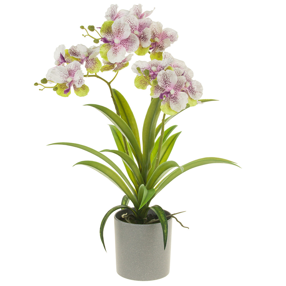 Растение искусственное в кашпо "Орхидея Ванда", H50 см Зеленый