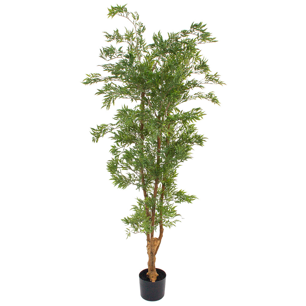 Дерево искусственное в кашпо "Полисциас", H160 см Зеленый