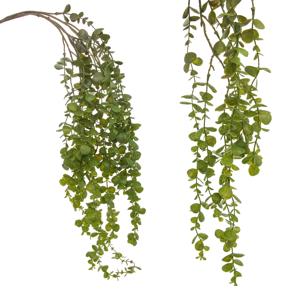 Растение искусственное ампельное "Дисхидия", H110 см Зеленый