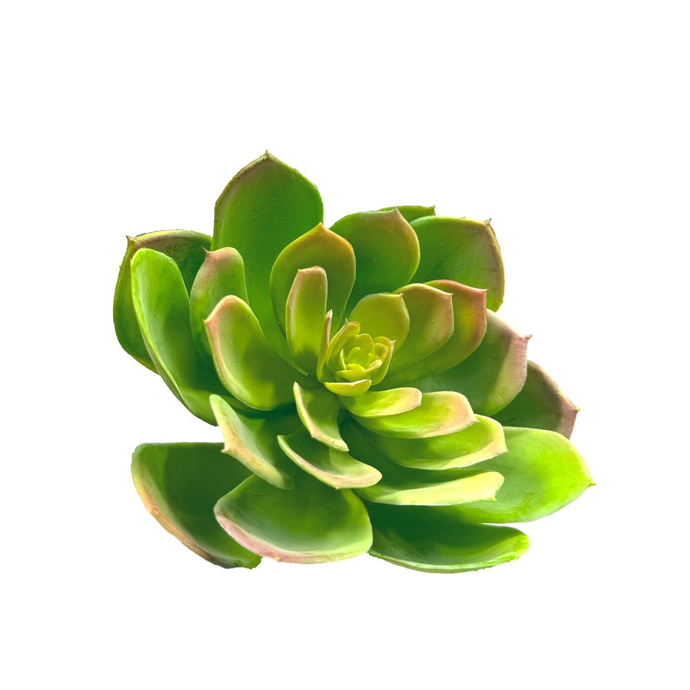 Растение искусственное "Суккулент Эониум Канарский", 16xH16 см Зеленый