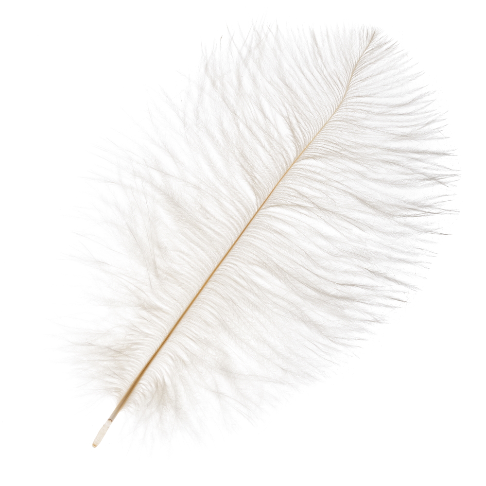 Перо страуса декоративное, 20-25 см, набор (5 шт) Белый