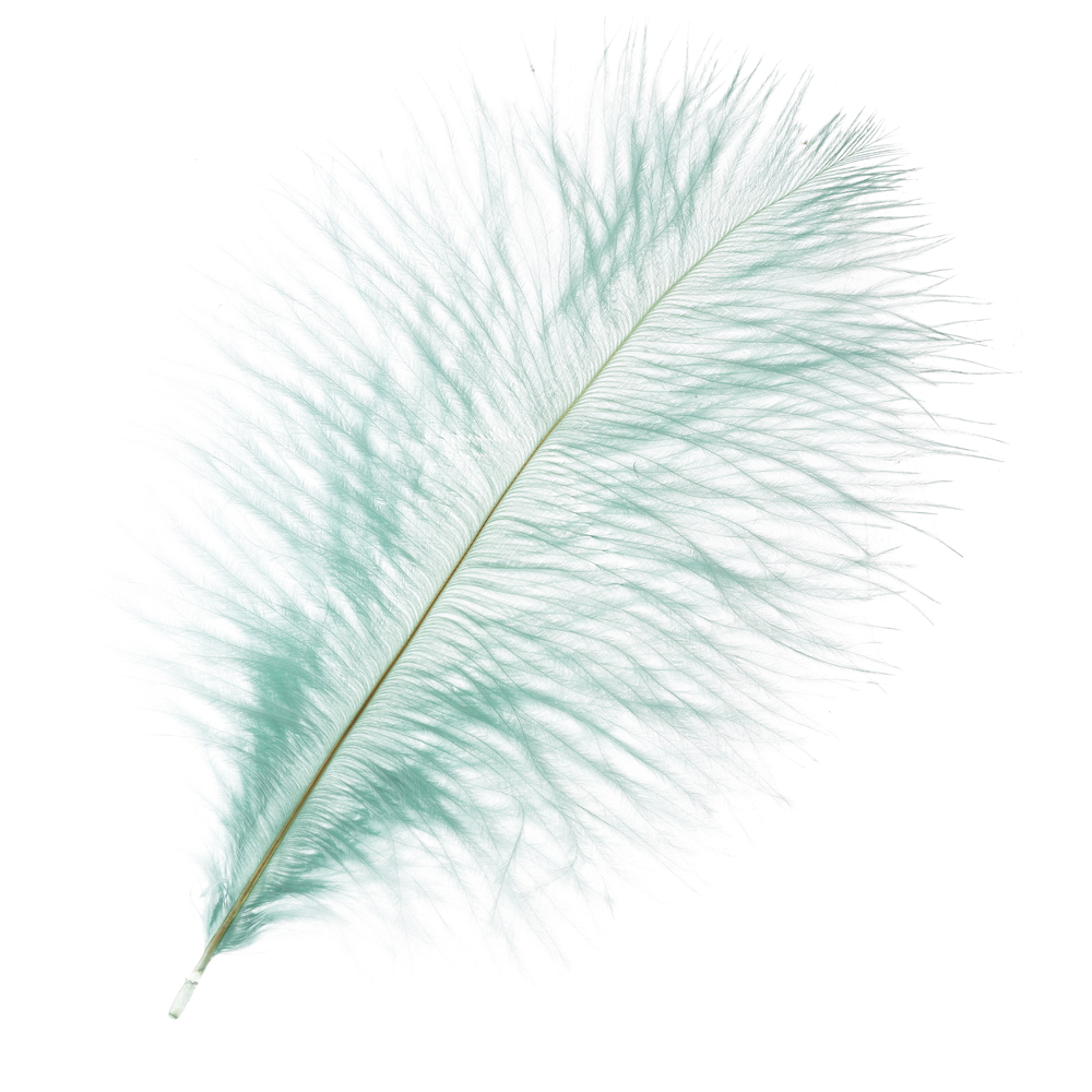Перья страуса (перо), 20-25 см, набор (5 шт) Бирюзовый