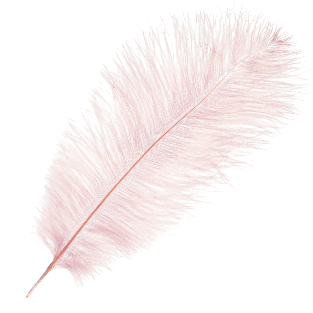 Перо страуса декоративное, 20-25 см, набор (5 шт) Розовый