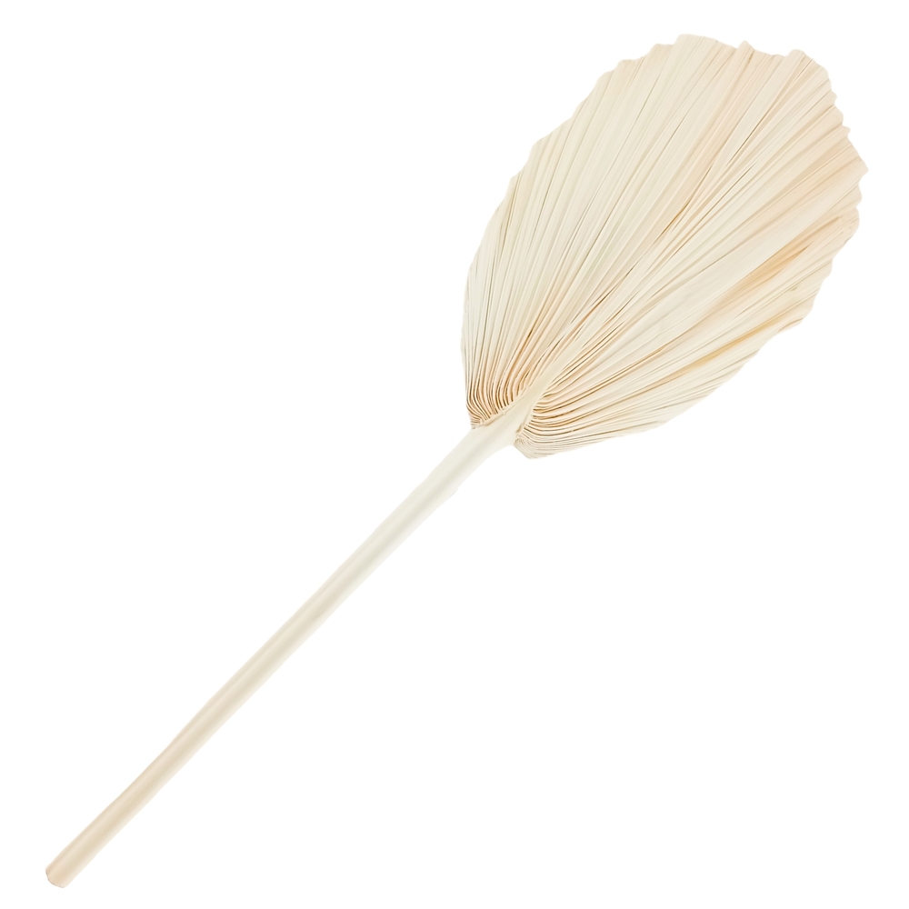 Сухоцветы "Пальмовый лист", H60 см Натуральный