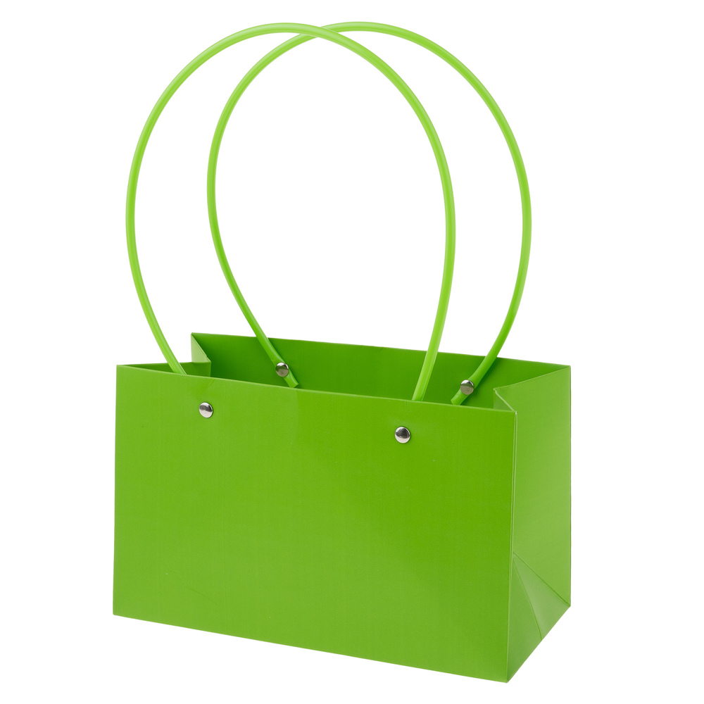 Сумка подарочная (картон), 22x10,5xH13,5 см, набор (10 шт), с ламинацией Темно-зеленый