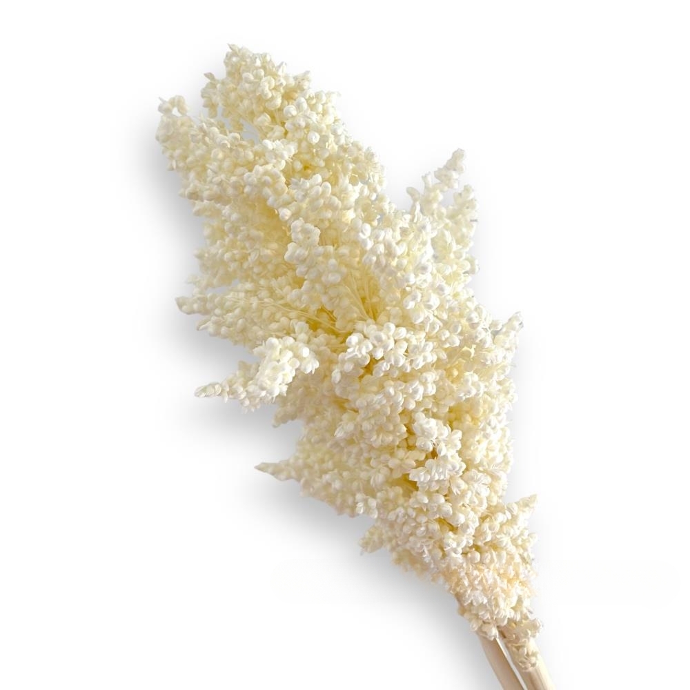 Сухоцветы "Сорго", H60 см, набор (2-3 шт) Белый