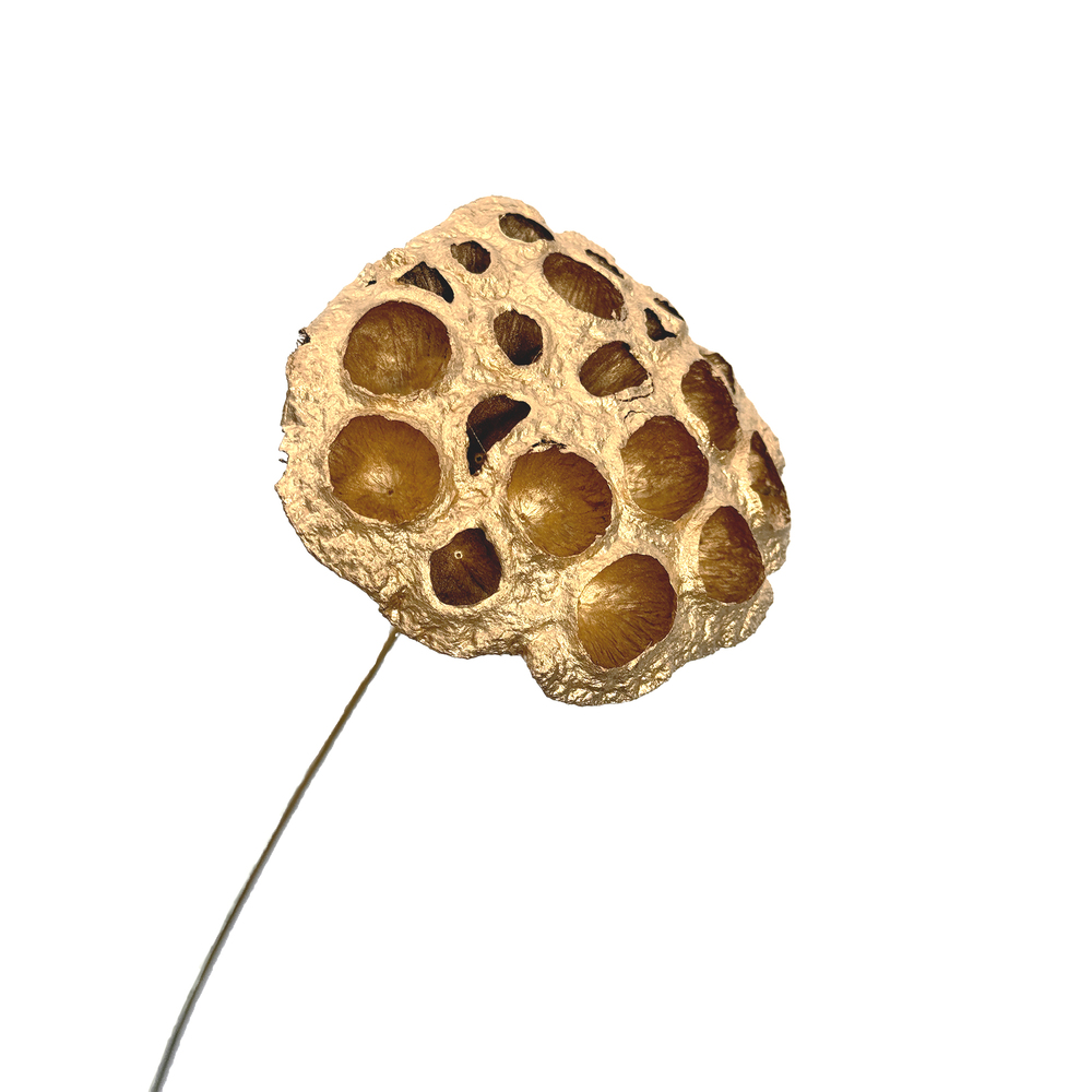 Лотос на вставке, D5-8xH60 см Золотой