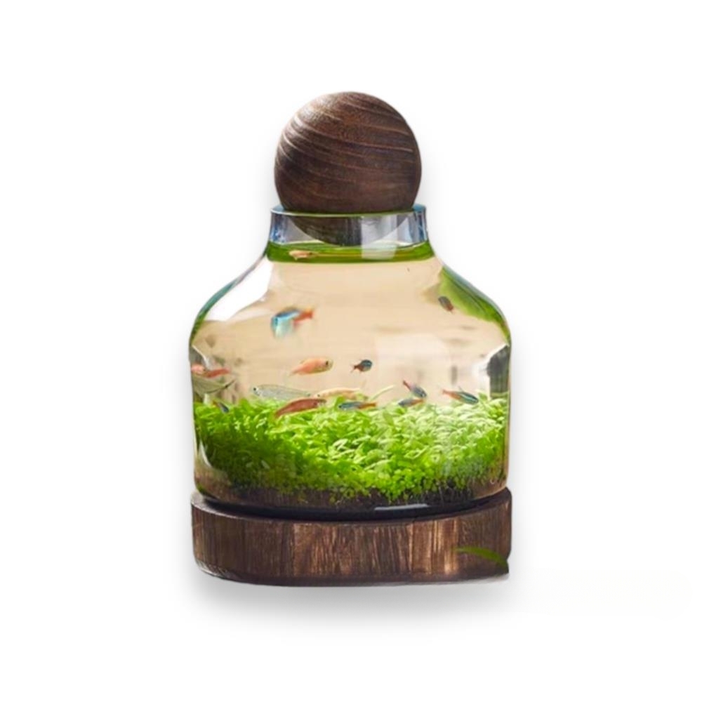 Ваза "Wood flolarium" (дерево, стекло), D16,5xH22 см, на подставке Прозрачный