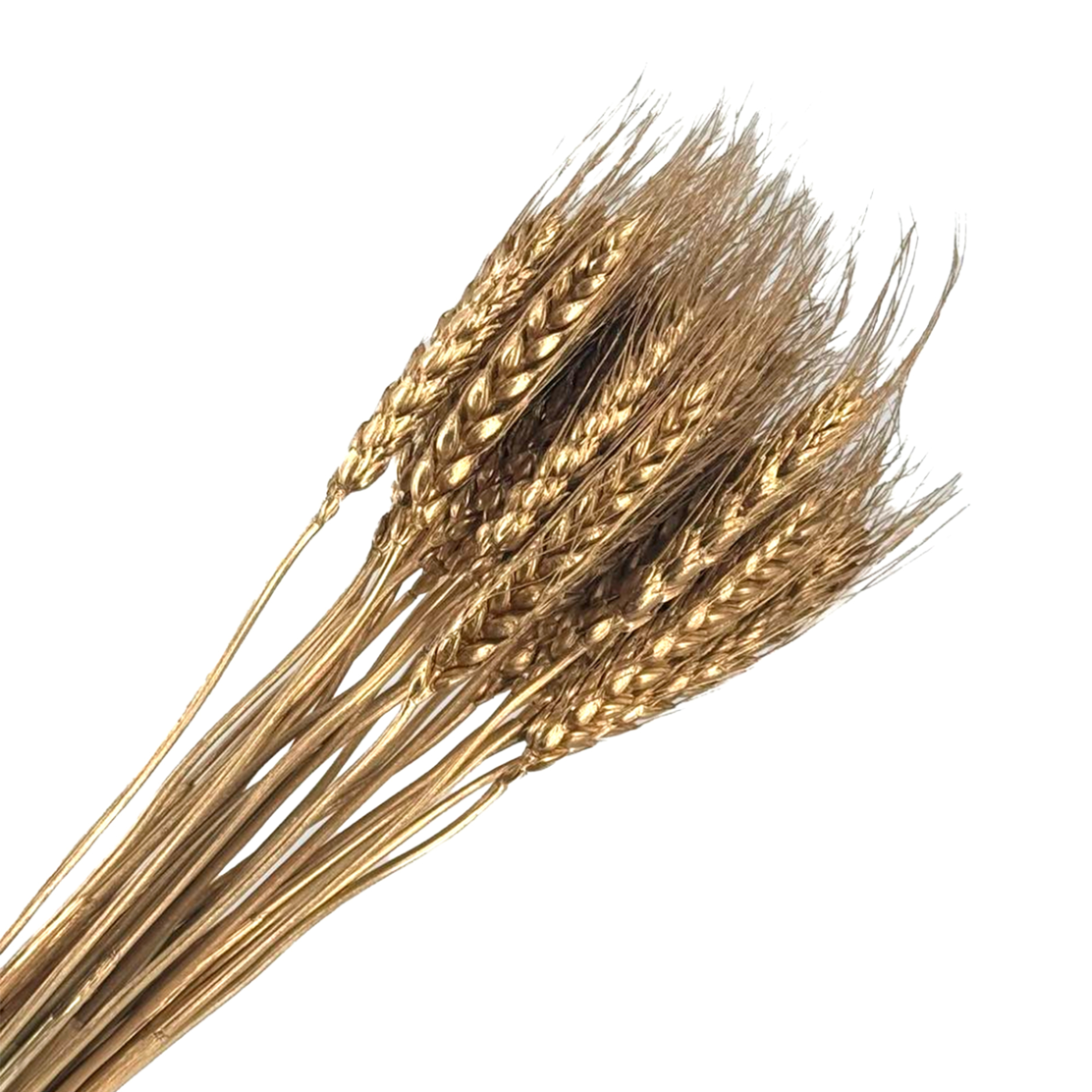 Сухоцветы "Пшеница", Н50-60 см, набор (30 шт) Золотой