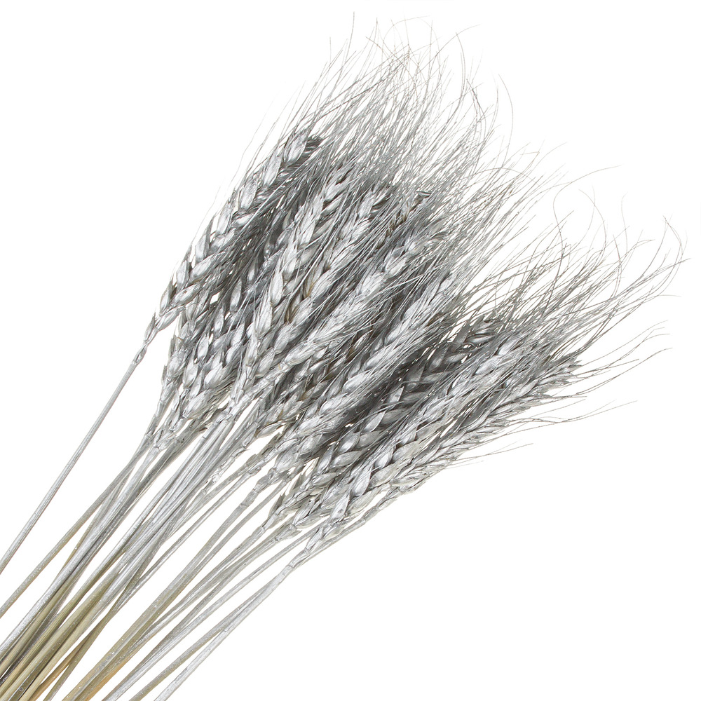 Сухоцветы "Пшеница", Н50-60 см, набор (30 шт) Серебряный