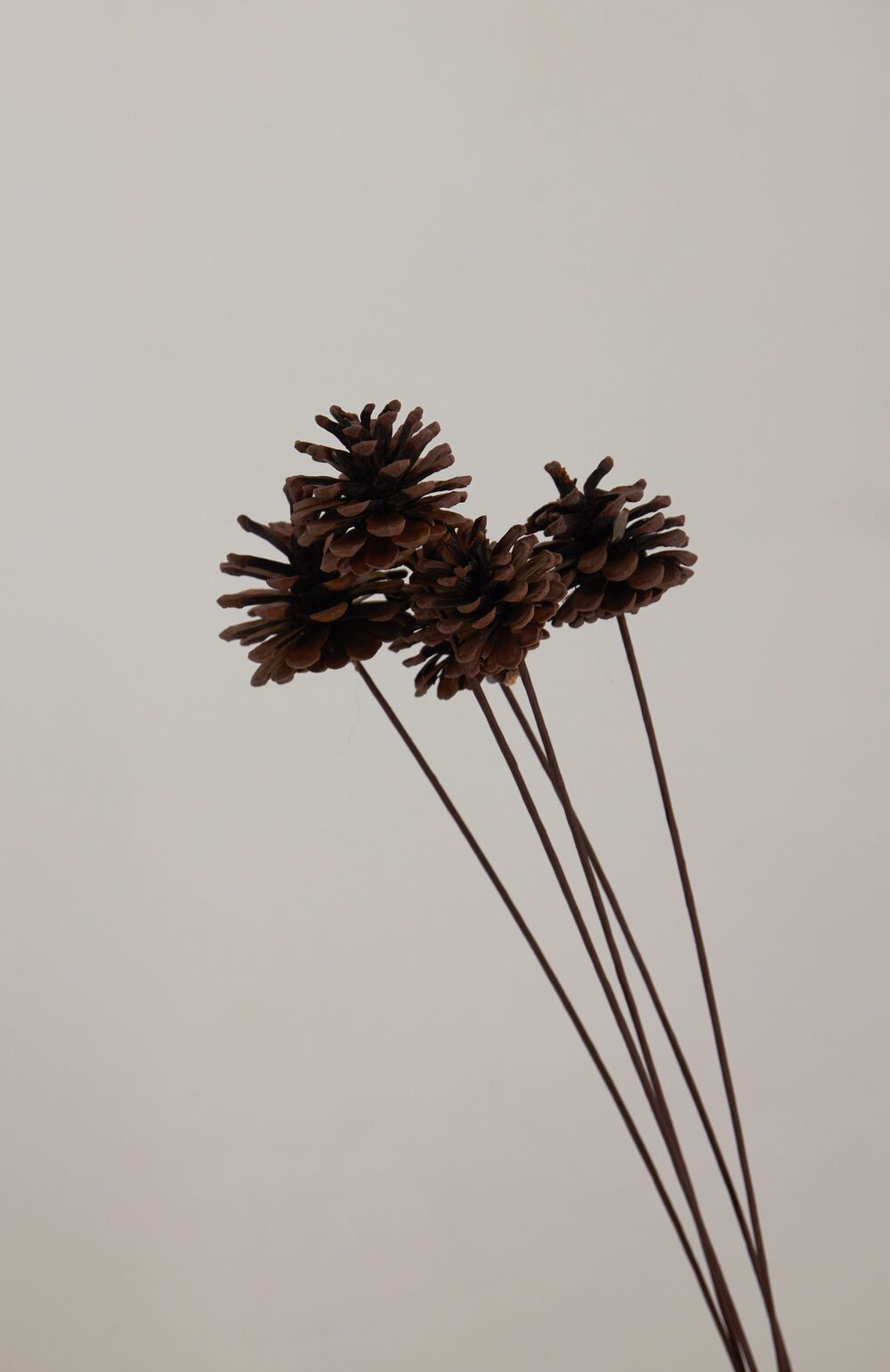 Шишки на вставке, D5-6хH60 см, набор (5 шт) Натуральный