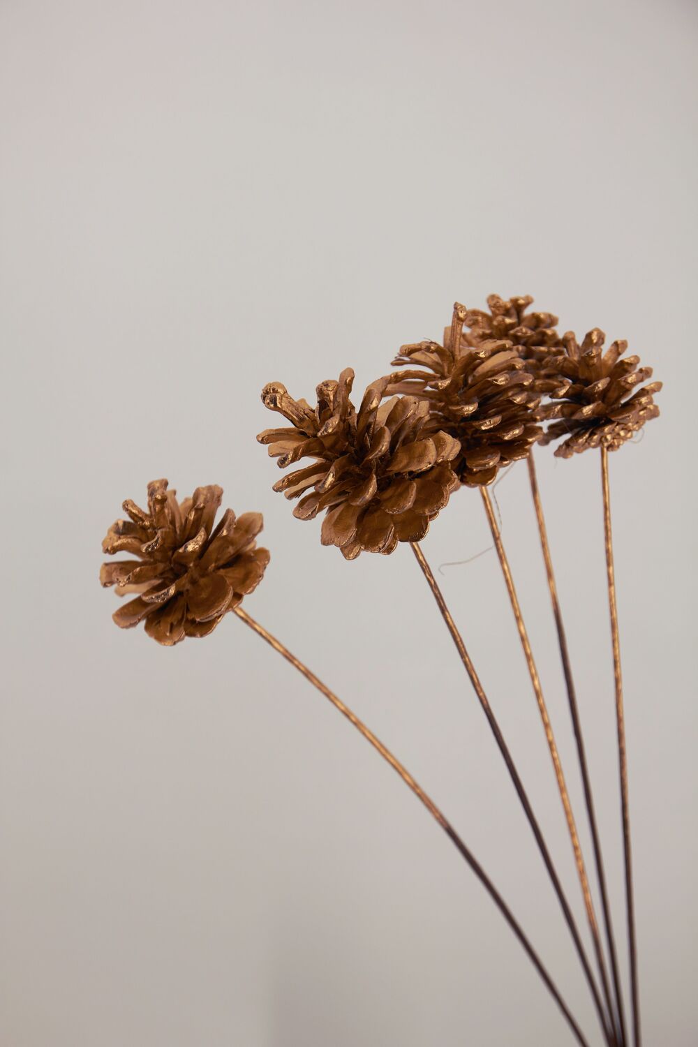 Шишки на вставке, D5-6хH60 см, набор (5 шт) Натуральный