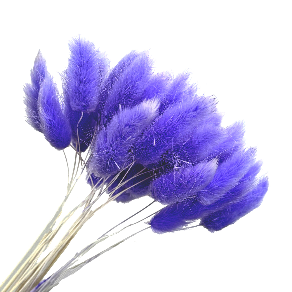 Сухоцветы "Лагурус", H50-60 см, набор (30 шт) Фиолетовый