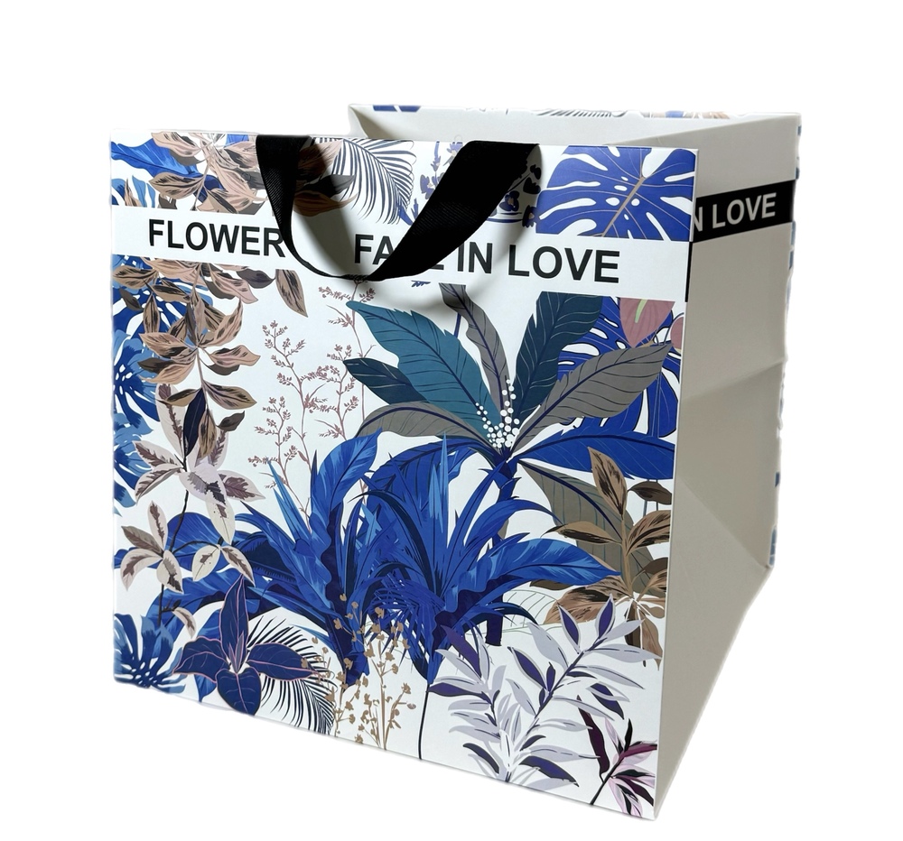 Сумка подарочная (картон), 28x28xH30 см, набор (2 шт) Белый