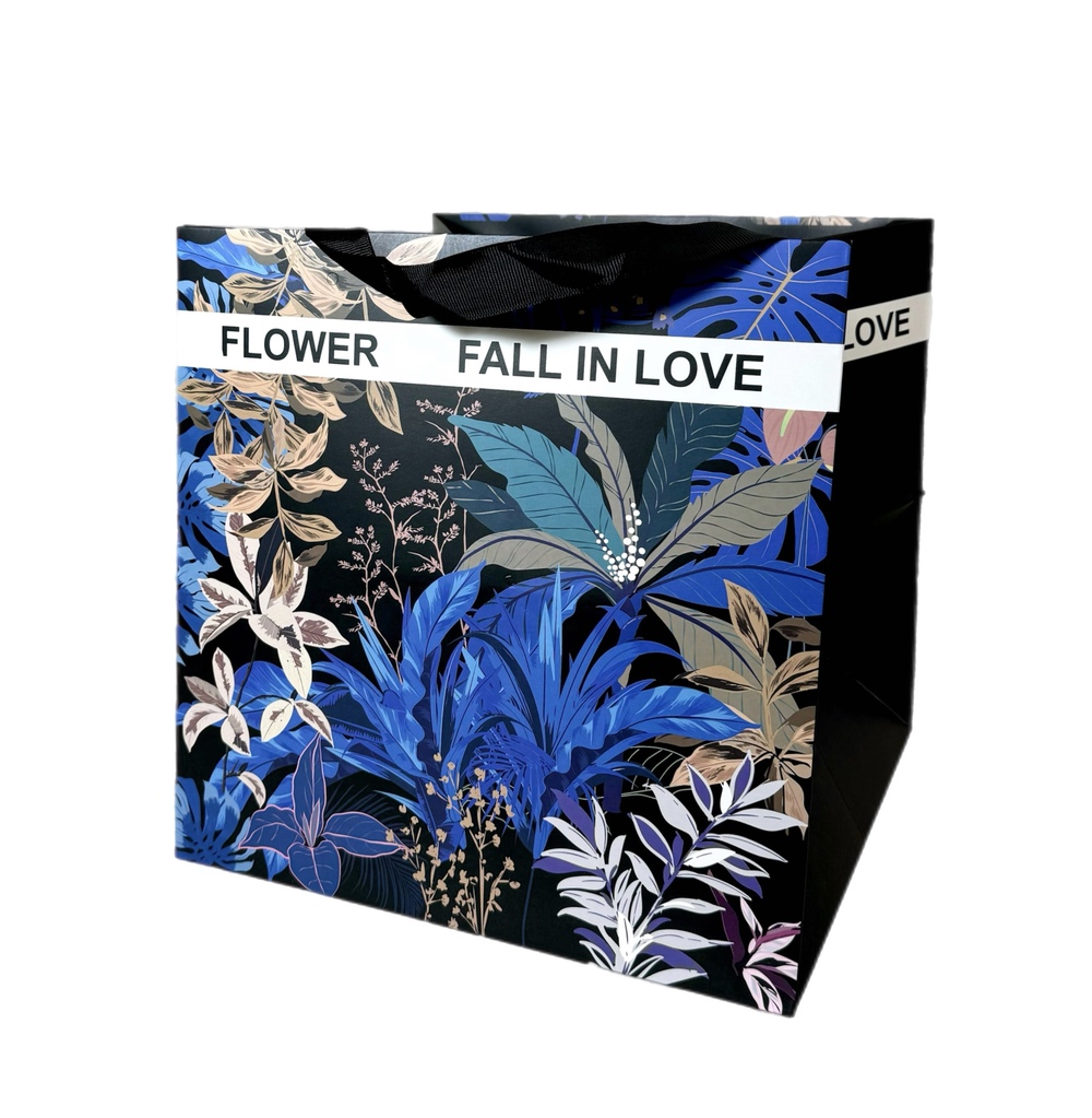 Сумка подарочная (картон), 28x28xH30 см, набор (2 шт) Черный