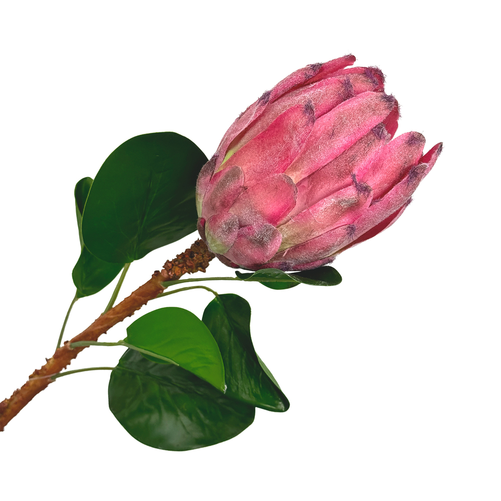 Цветок искусственный "Протея", H72 см Кремовый-розовый