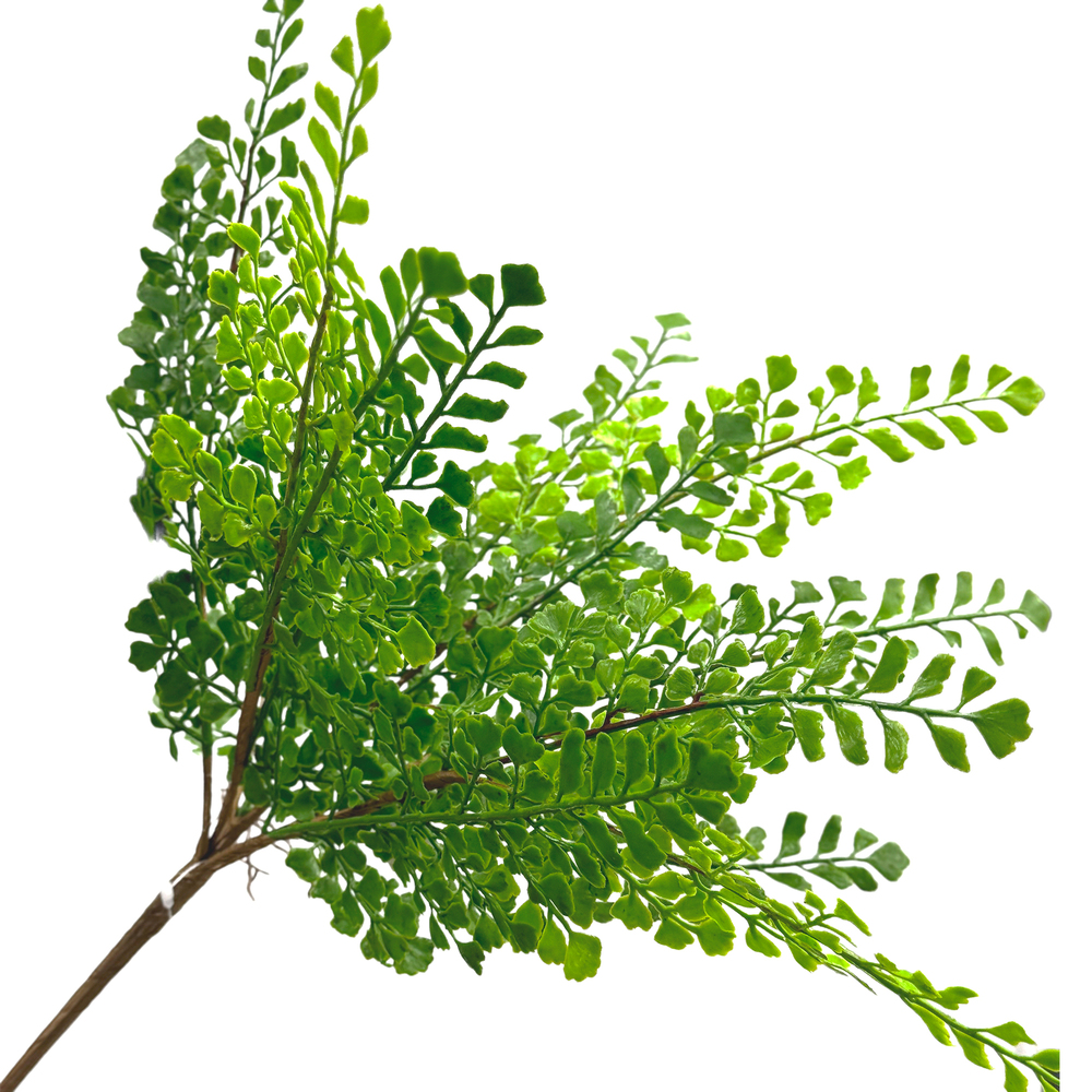 Растение искусственное "Дисхидия", H43 см Зеленый