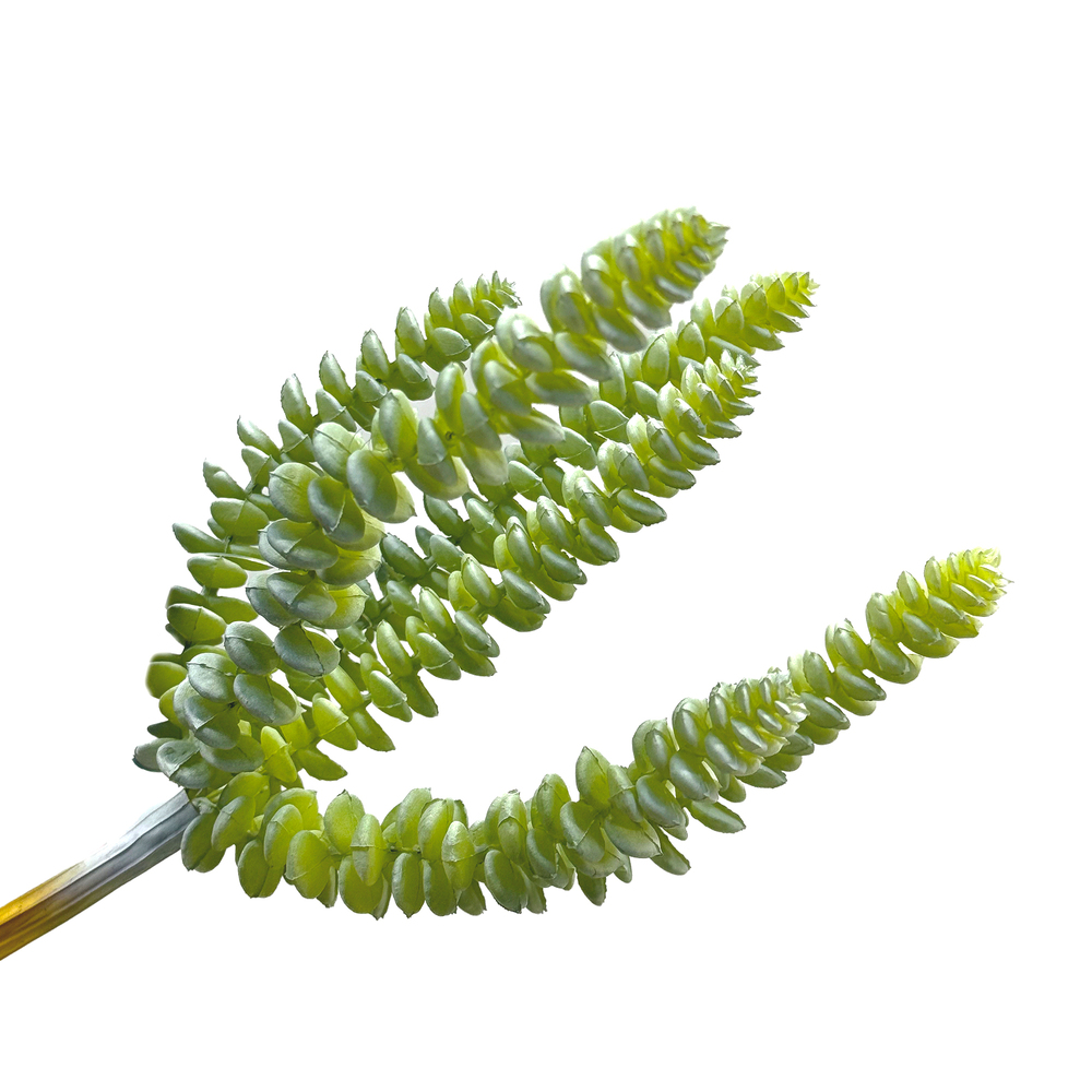 Растение искусственное "Суккулент", H23 см Зеленый