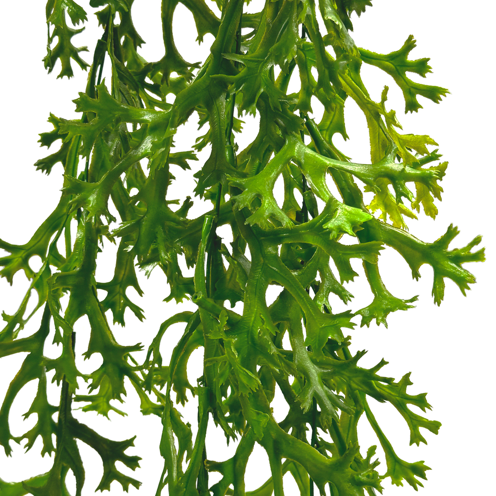 Растение искусственное ампельное "Каланхоэ Лациниата", Н77 см Зеленый