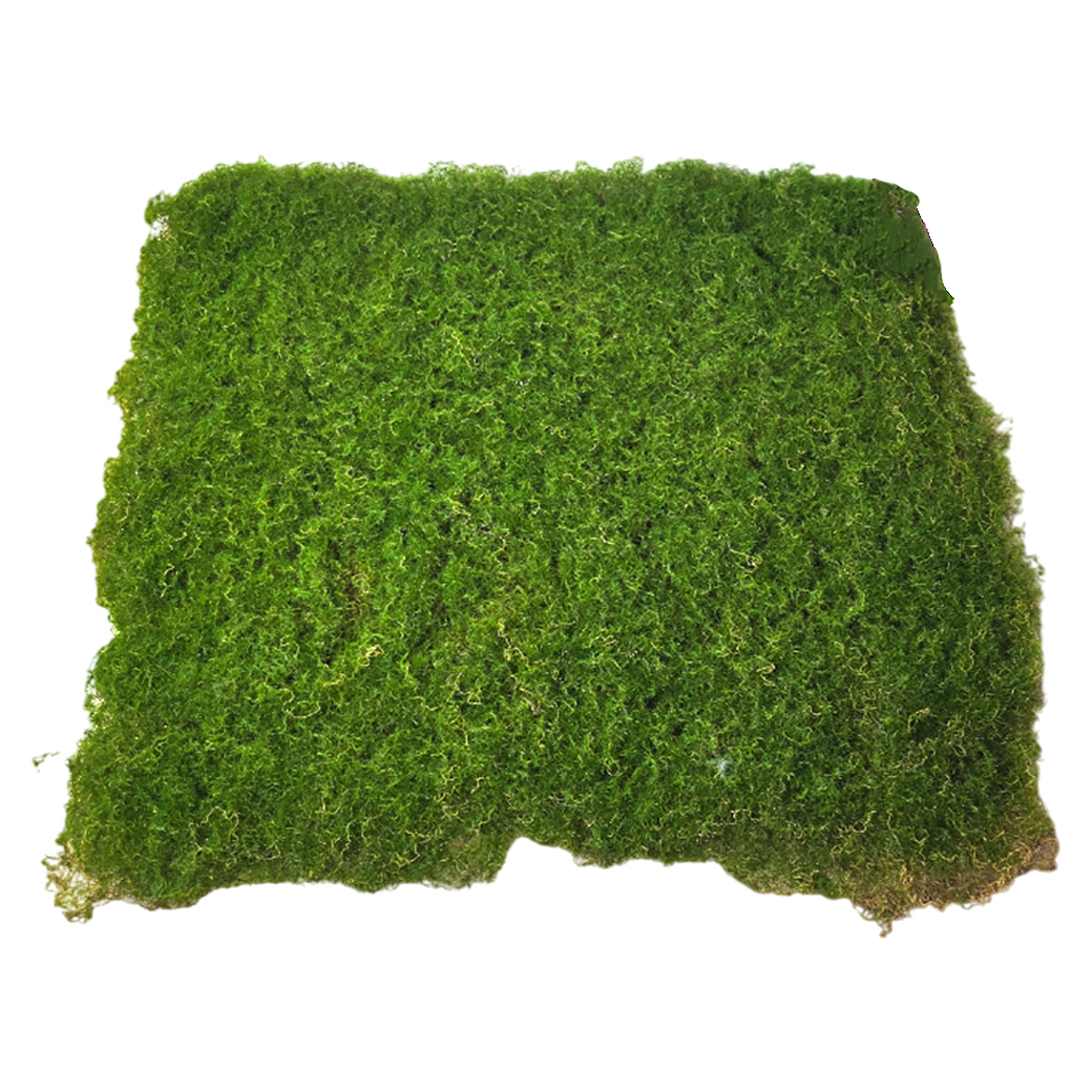 Панель искусственная "Мох", 50х50 см Зеленый