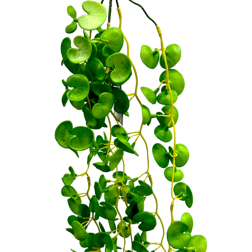 Растение искусственное ампельное "Пеперомия", H58 см Зеленый