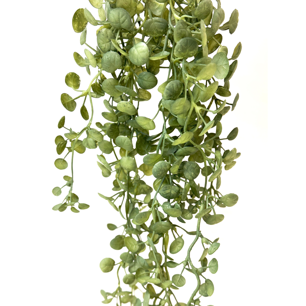 Растение искусственное ампельное "Дисхидия", H60 см Зеленый