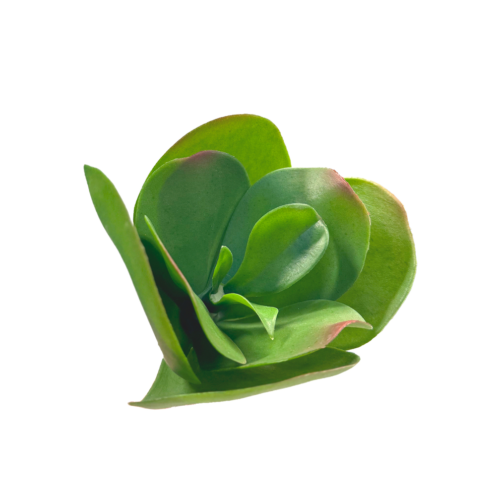 Растение искусственное "Суккулент", H17 см Зеленый