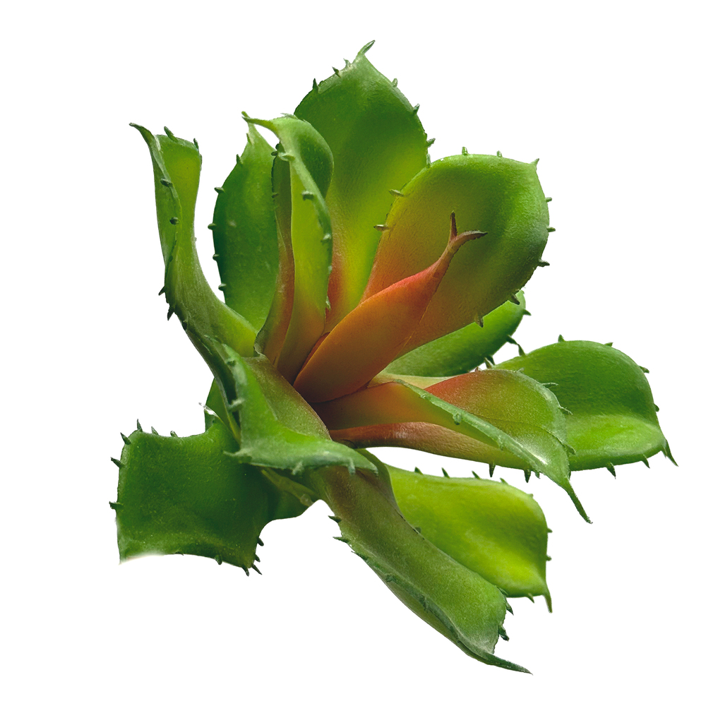 Растение искусственное "Суккулент", H11 см Зеленый