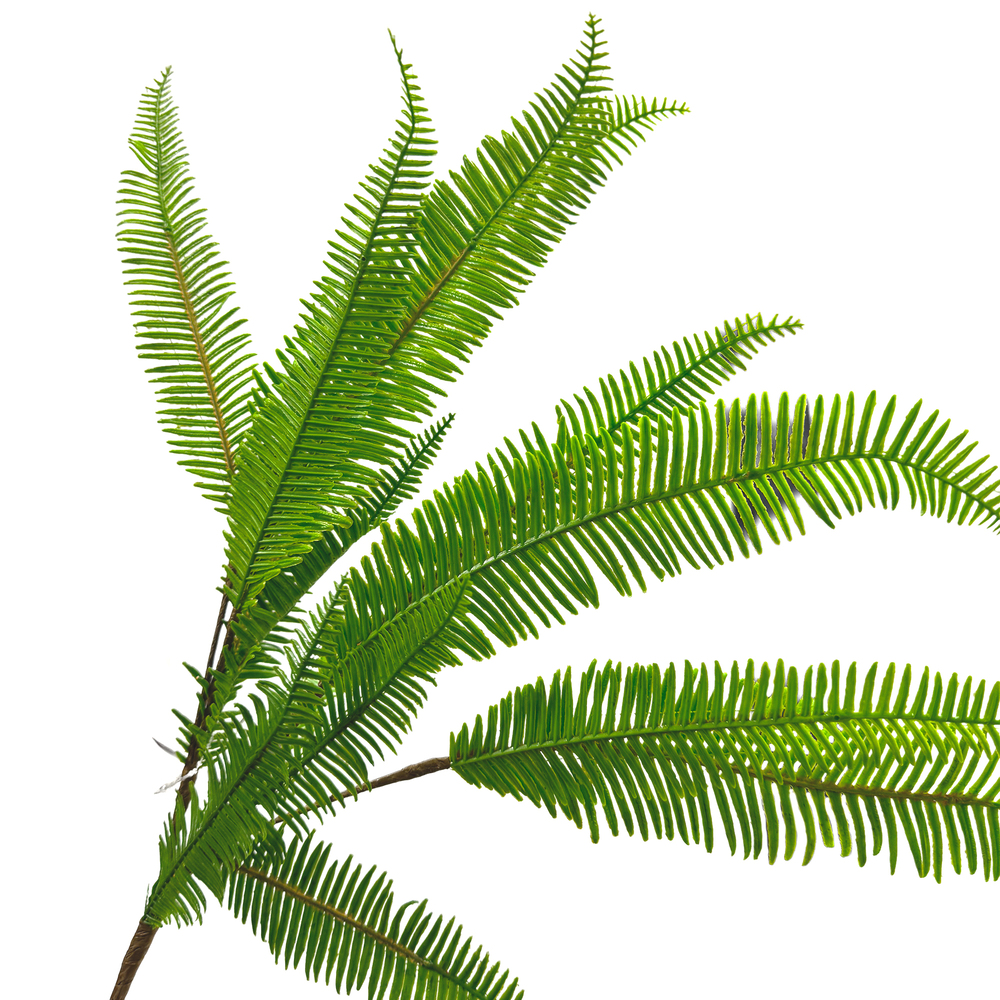 Растение искусственное "Папоротник", H64 см Зеленый