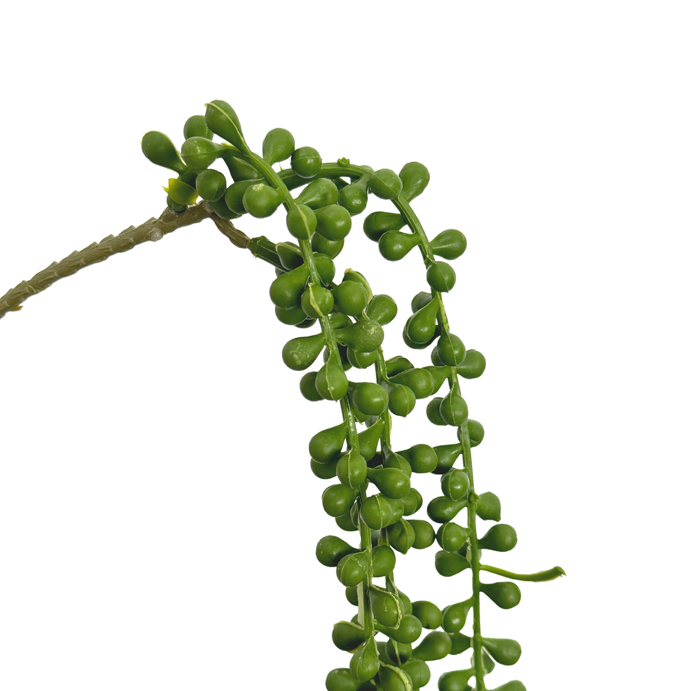 Растение искусственное ампельное "Крестовник Роули", H75 см Зеленый