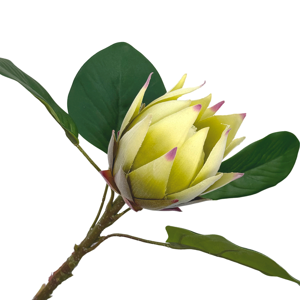 Цветок искусственный "Протея", H52 см Кремовый