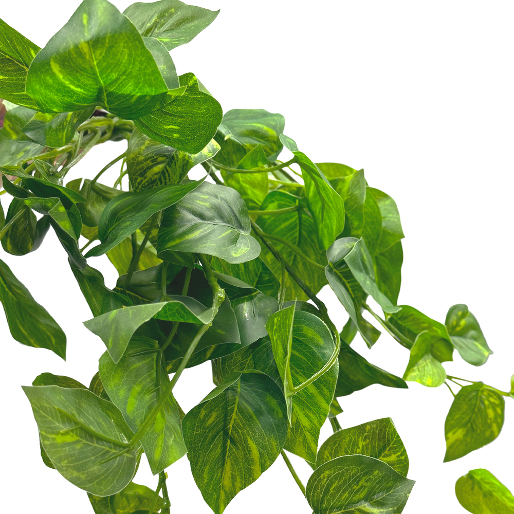 Ветка искусственная "Эпипремнум", H60 см Зеленый