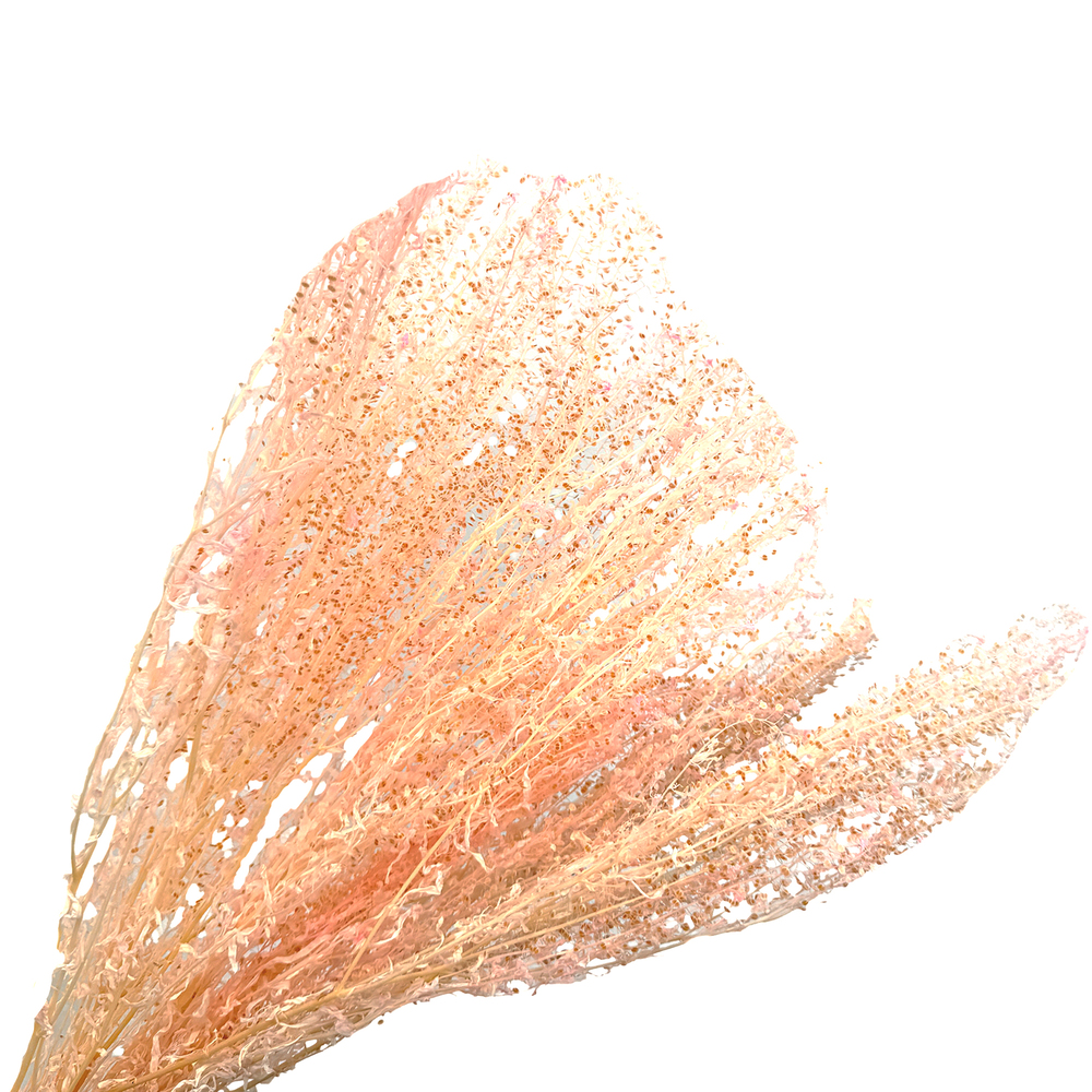 Сухоцветы "Мискантус", H55 см, 80 г Розовый