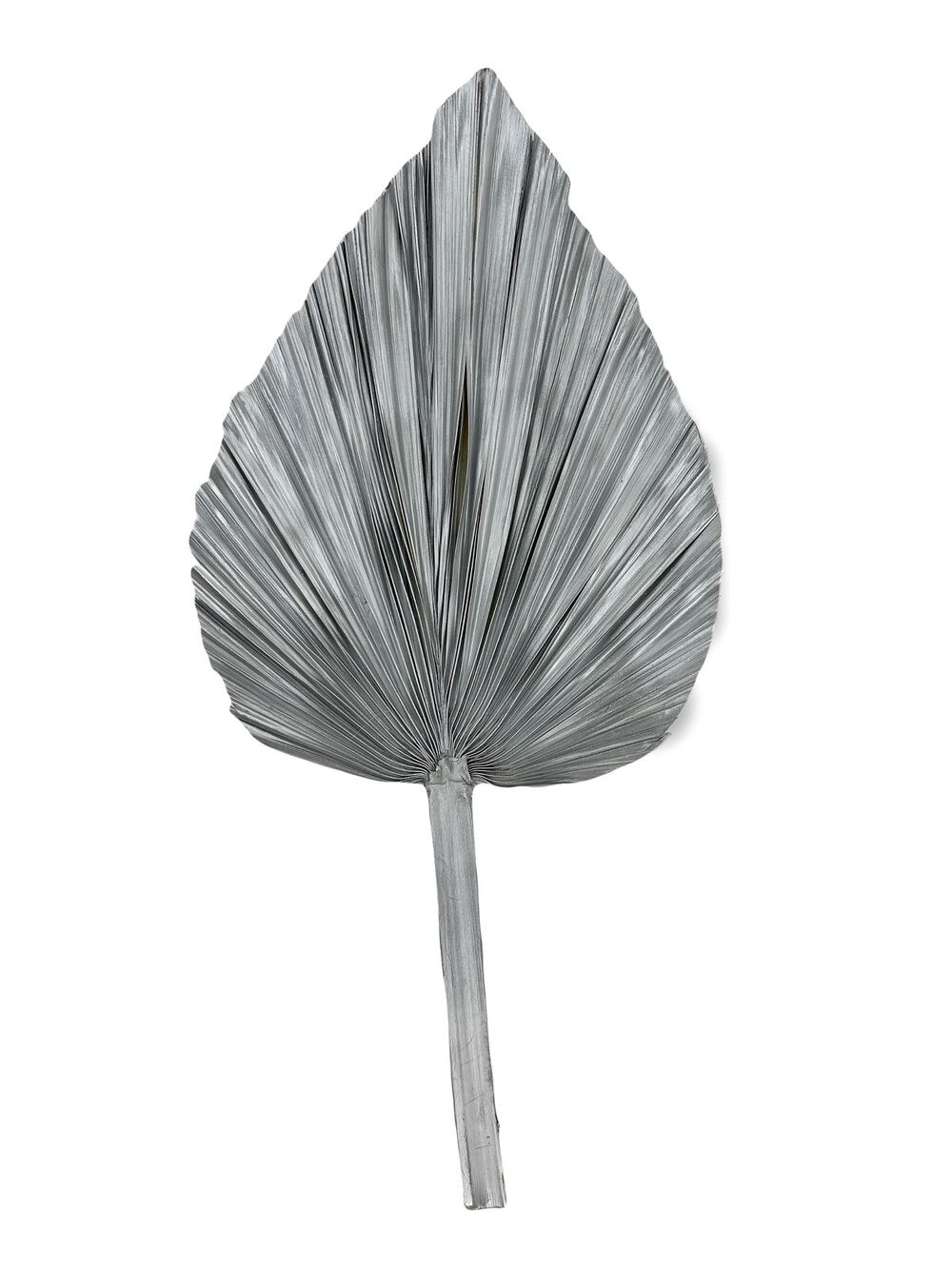 Сухоцветы "Пальмовый лист", H60 см Серебряный