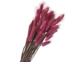 Сухоцветы "Лагурус", H60 см, набор (60 шт) Розовый