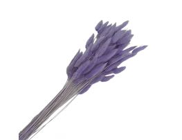 Сухоцветы "Лагурус", H60 см, набор (60 шт) Светло-фиолетовый