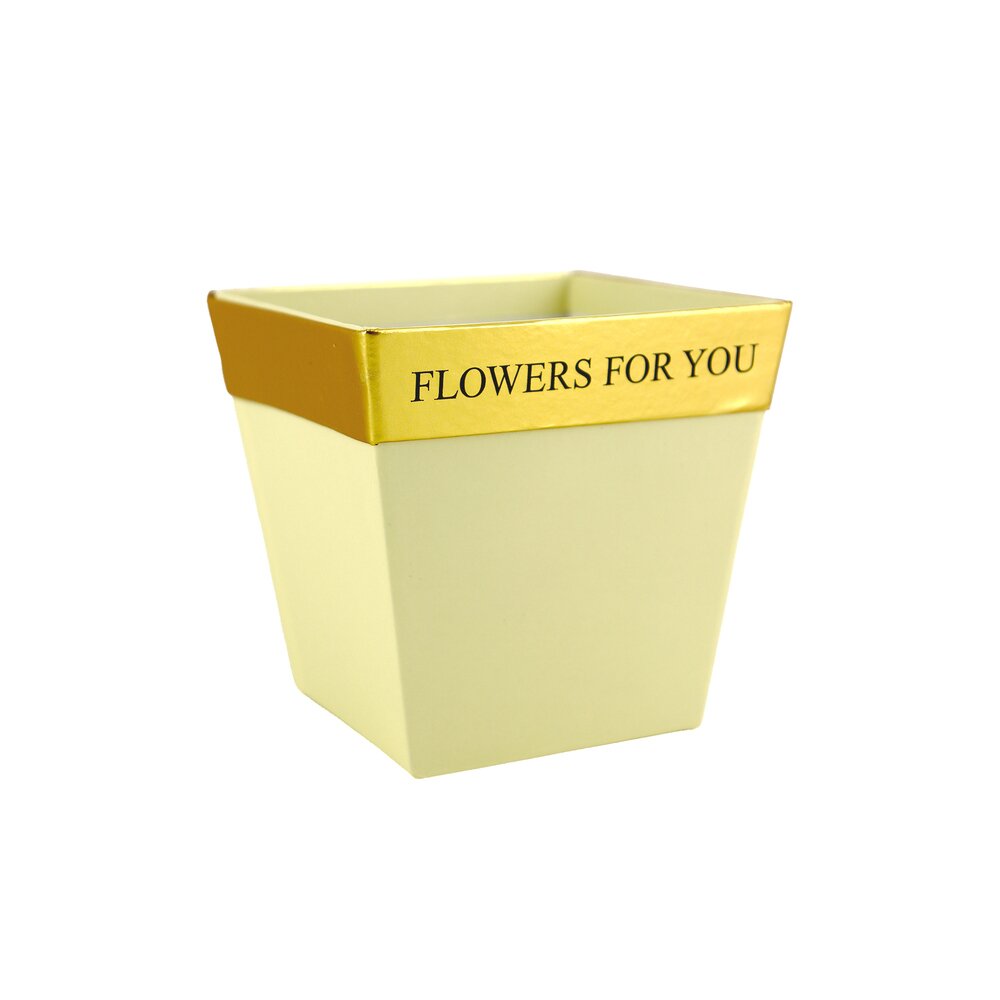 Коробка-кашпо "Flowers for you", 11,5x8xH11 см Бежевый