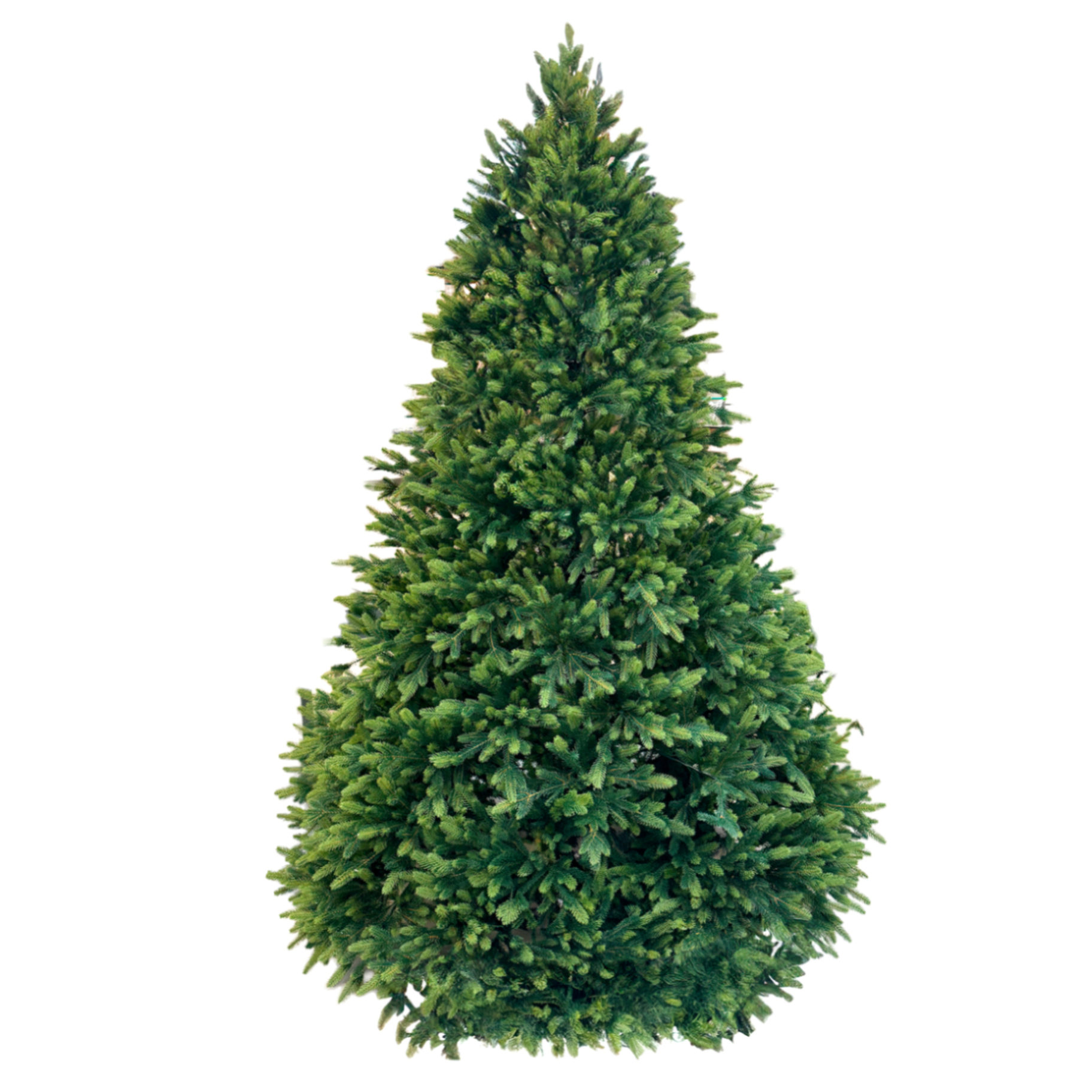 Ель искусственная (ПЭ), D160xH240 см Зеленый