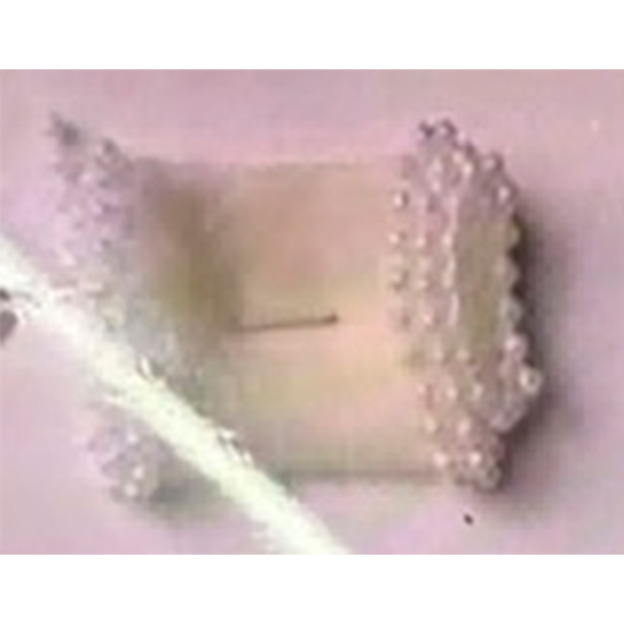 Лента органза "Жемчуг", 40 ммx5 ярд Кремовый