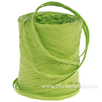 Рафия искусственная "Corde Light green", 10 ммх200 м - фото 1