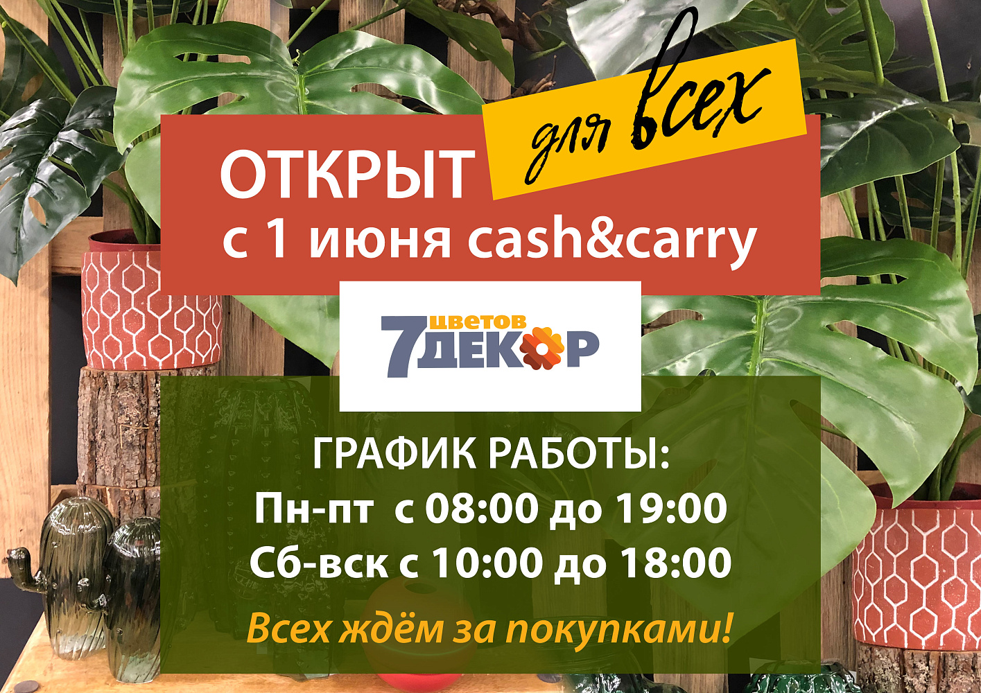 7 цветов декор интернет магазин. 7цветов декор Москва розничный магазин. Мокко займ. 7цветов-декор Москва вакансии. Олива займ отзывы.