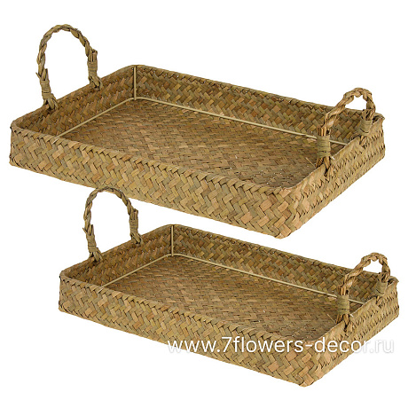 Поднос плетеный (водоросли, металл), 36x26xH5 см, 40x30xH5 см, набор (2 шт), с ручками - фото 1